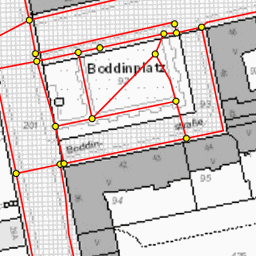 Demo image for Fußgängernetz, ALKIS Berlin s/w